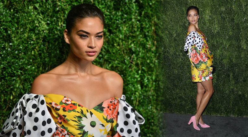 Shanina Shaik – CFDA/Vogue Fashion Fund 15th Anniversary Event