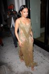 Karrueche Tran Sexy Sheer Dress