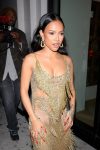 Karrueche Tran Sexy Sheer Dress