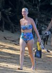 Katy Perry Big Boobs