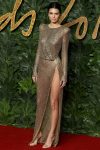 Kednall Jenner Sheer Dress