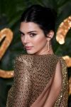 Kednall Jenner Sheer Dress