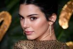 Kednall Jenner Sheer Dress