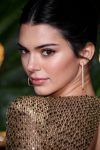Kednall Jenner Sheer Dress
