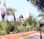 Rihanna In A Bikini