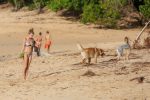 Dylan Penn In A Bikini