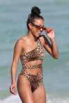 Karrueche Tran In A Bikini