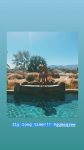 Stella Hudgens Bikini Ass