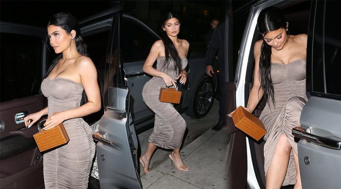 Kylie Jenner Sexy Ass And Boobs