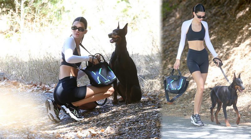 Kendall Jenner in Sexy Short Leggings Out for a Hike in Los Angeles