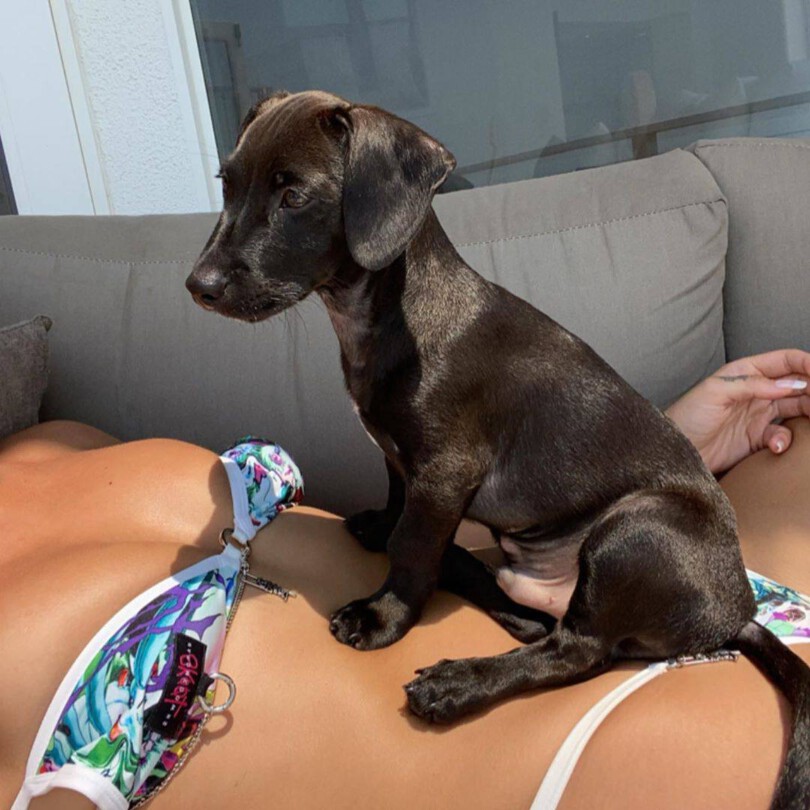 Dua Lipa Tiny Bikini