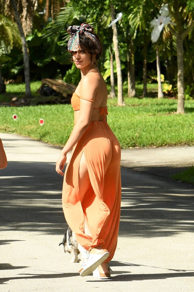 Camila Cabello Beautiful Big Ass