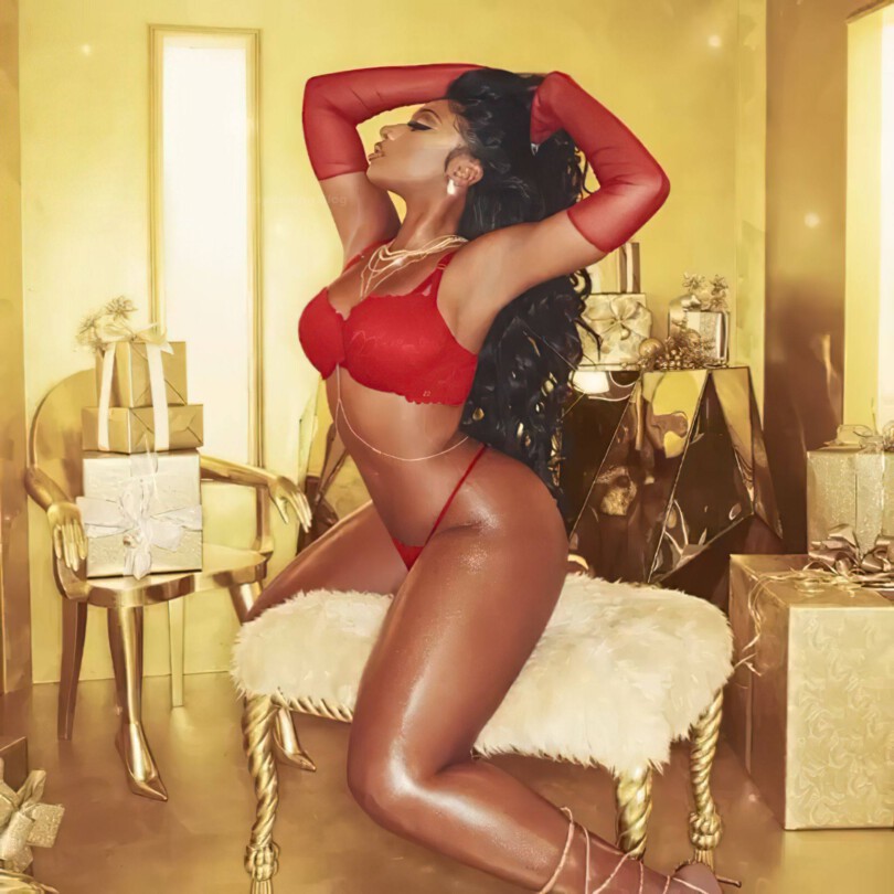 Megan Thee Stallion Hot In Lingerie