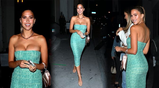Kara Del Toro – Fantastic Boobs in a Sexy Cleavage at Catch in West Hollywood