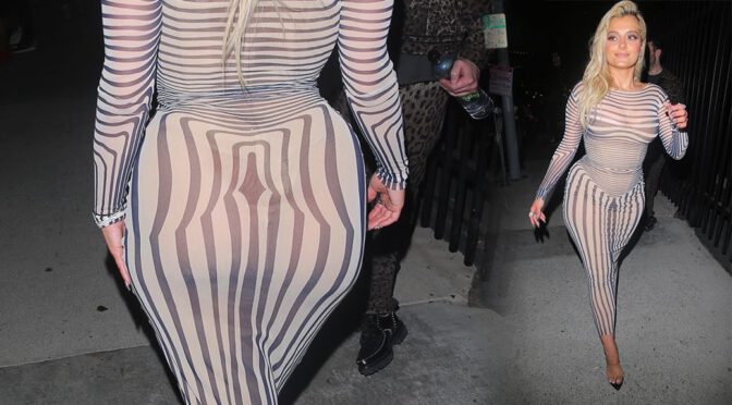 Bebe Rexha – Gorgeous Curvy Body in a Sexy Dress Out in Los Angeles