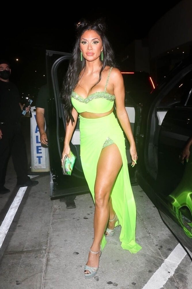 Nicole Scherzinger Big Boobs