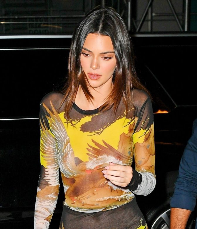 Kendall Jenner Sexy Braless Breasts