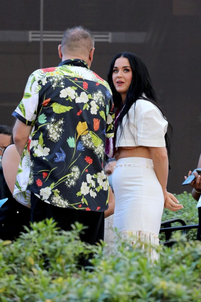 Katy Perry Braless Underboob