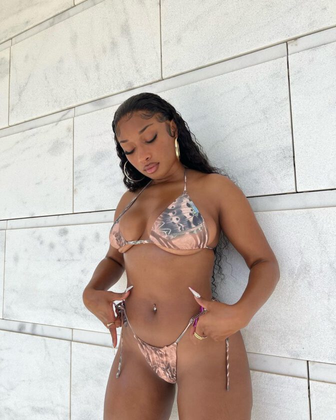 Megan Thee Stallion Fantastic Big Ass