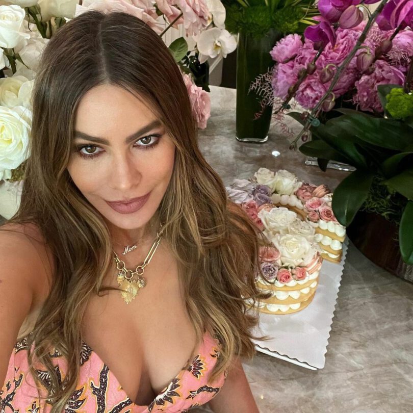 Sofia Vergara Big Cleavage