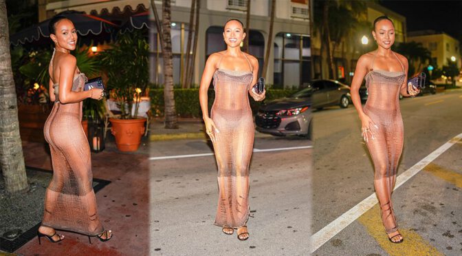 Karrueche Tran Flaunts Gorgeous Body in Sexy See-Through Dress at Carbone in Miami Beach