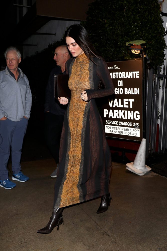 Kendall Jenner Sexy Dress