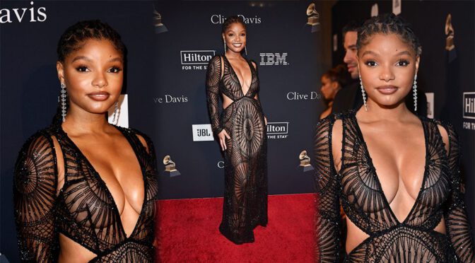 Halle Bailey’s Stunning Big Boobs at Pre-Grammy Gala & Grammy Salute to Industry Icons in Los Angeles