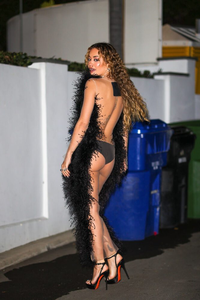 Rita Ora Sexy Tiny Panties
