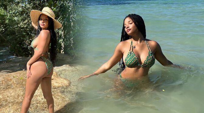 Halle Bailey Flaunts Her Gorgeous Body in a Bikini