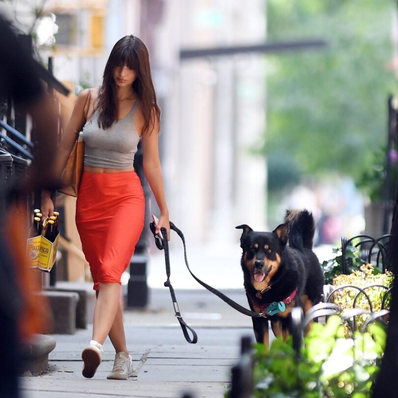 Emily Ratajkowski Busty Gorgeous Walking Dog