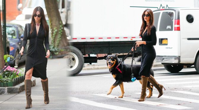 Emily Ratajkowski: The Epitome of Glamour in NYC with Her Furry Companion