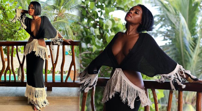 Janelle Monae Sexy Boobs And Nipslip