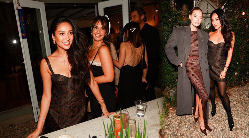 Revolve Extravaganza: Shay Mitchell Stuns in Sexy Dress and Stockings