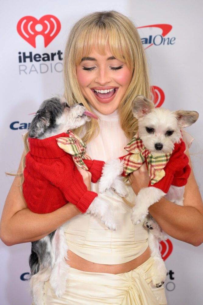 Smile And Legs Sabrina Carpenter Iheartradio Z Jingle Ball