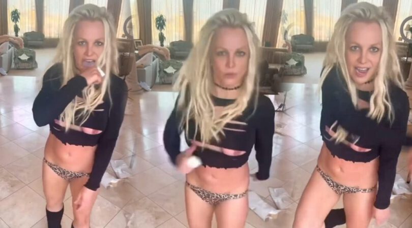 Exclusive: Britney Spears’ Sultry Nipslip & Sexy Dance Exposed! (NSFW)