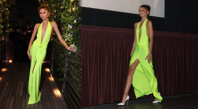 Zendaya Sexy Dress
