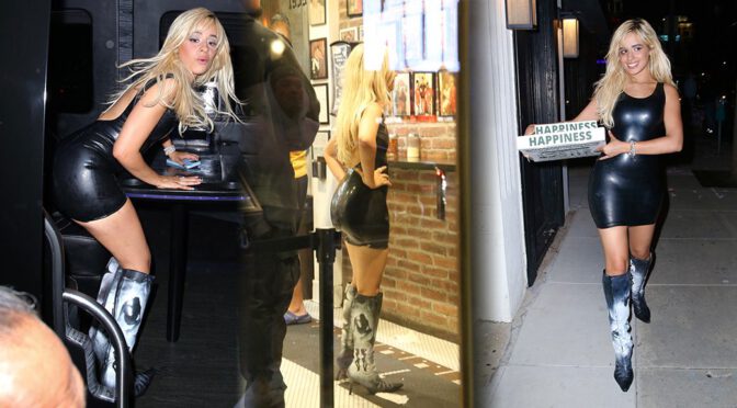 Get Ready to Drool Over Camila Cabello’s Sexy Leather Mini Dress Look in West Hollywood