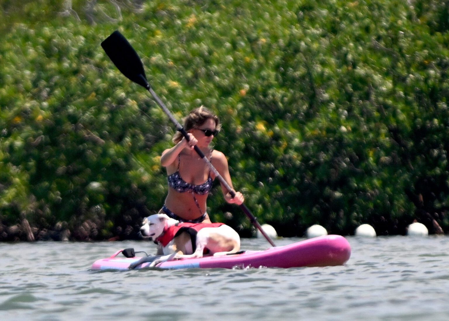 Sydney Sweeney Thong Bikini Big Breasts Perfect Ass - Hot Celebs Home