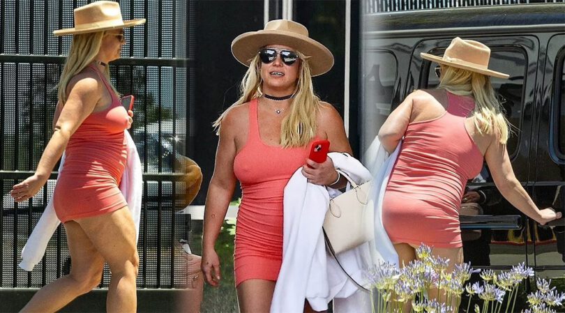 Britney Spears Teases with Braless Breasts and Nipples at Van Nuys Airport!