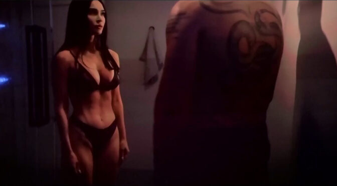 Megan Fox In Lingerie