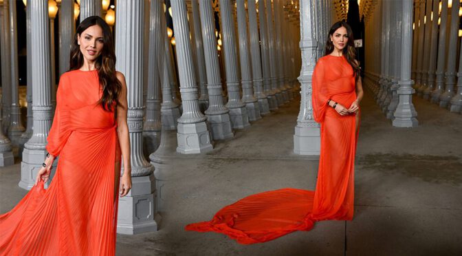 Eiza González Teases with See-Through Dress at LACMA Gala!