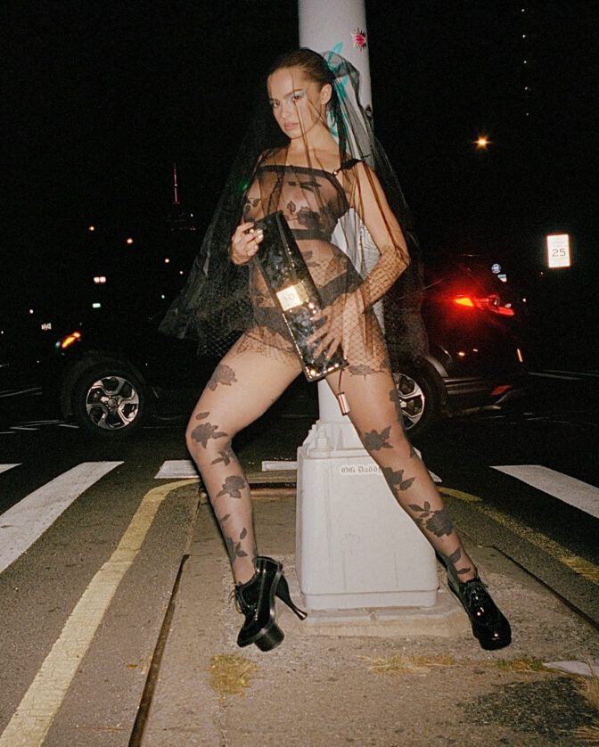 Addison Rae See Through Floral Bodysuit