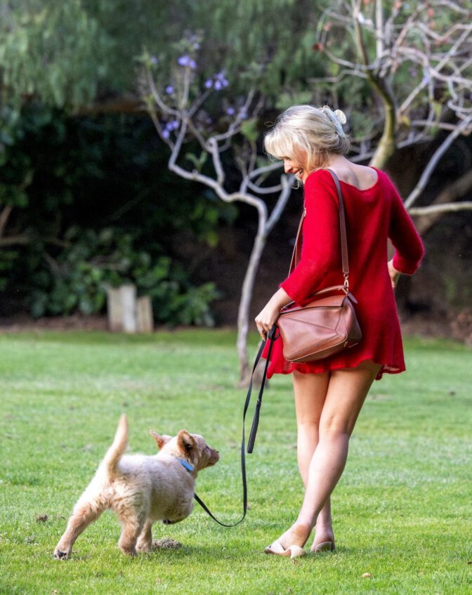 Sabrina Carpenter Red Mini Dress Puppy Hollywood Hills