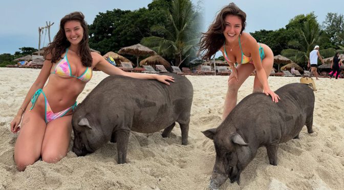 Rachel Pizzolato Shows Off Insane Curves at Pig Island