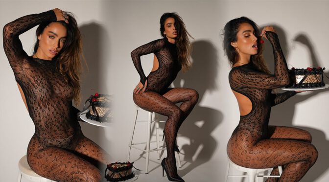 Sommer Ray Gets Wild in Sheer Lace Birthday Photoshoot