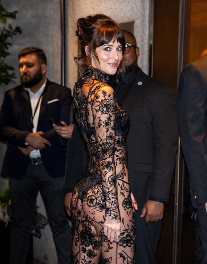 Dakota Johnson See Through Lingerie Gown