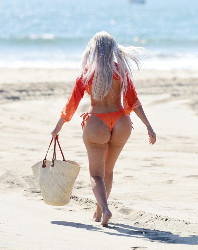 Farrah Abraham See Through Bikini Thong Nipples