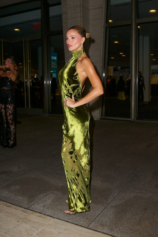 Brooks Nader Braless Pokies Velvet Gown Gala Nyc