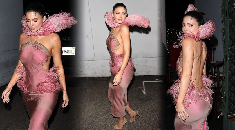 Kylie Jenner Flaunts Her Body in Daring Pink Feather Dress at Party