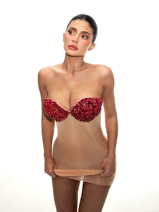 Kylie Jenner Sexy Boobs See Through